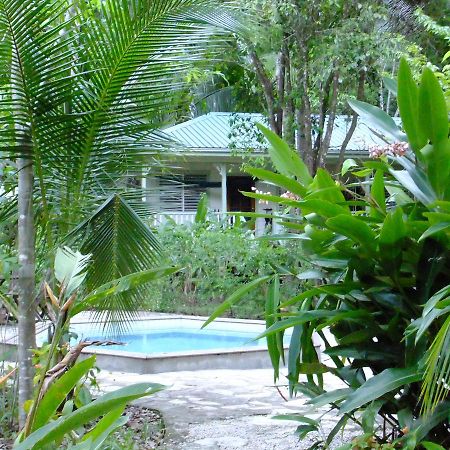 Hickatee Cottages, Belize, Central America ปุนตากอร์ดา ภายนอก รูปภาพ