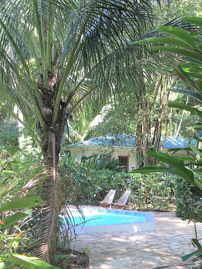 Hickatee Cottages, Belize, Central America ปุนตากอร์ดา ภายนอก รูปภาพ