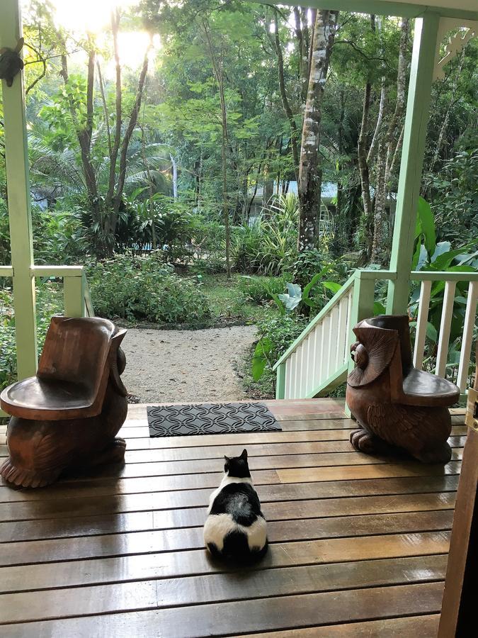 Hickatee Cottages, Belize, Central America ปุนตากอร์ดา ภายนอก รูปภาพ