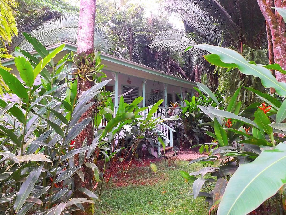 Hickatee Cottages, Belize, Central America ปุนตากอร์ดา ภายนอก รูปภาพ