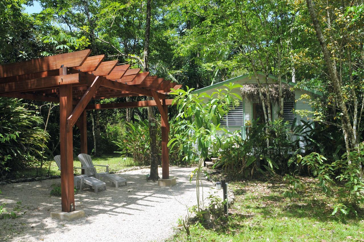 Hickatee Cottages, Belize, Central America ปุนตากอร์ดา ภายนอก รูปภาพ