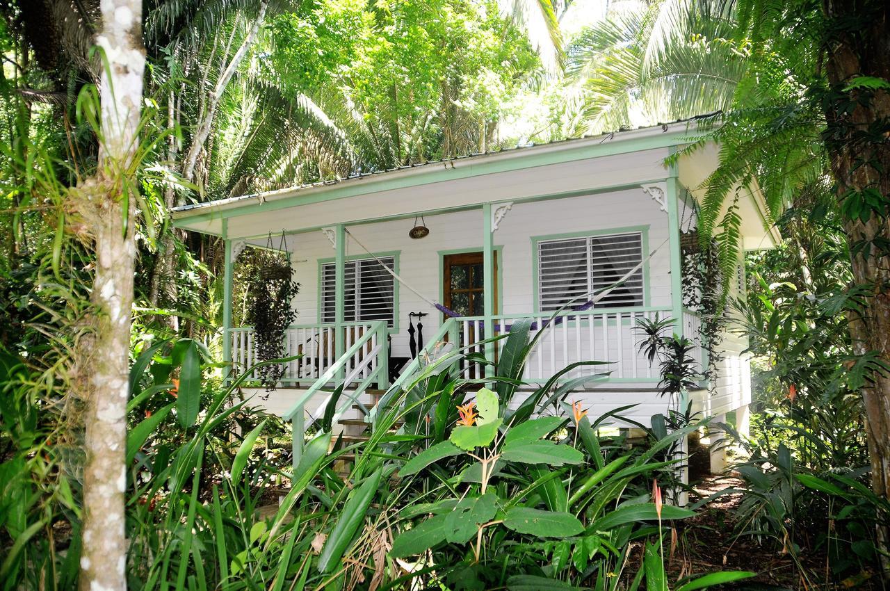 Hickatee Cottages, Belize, Central America ปุนตากอร์ดา ภายนอก รูปภาพ