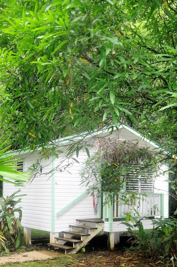 Hickatee Cottages, Belize, Central America ปุนตากอร์ดา ภายนอก รูปภาพ