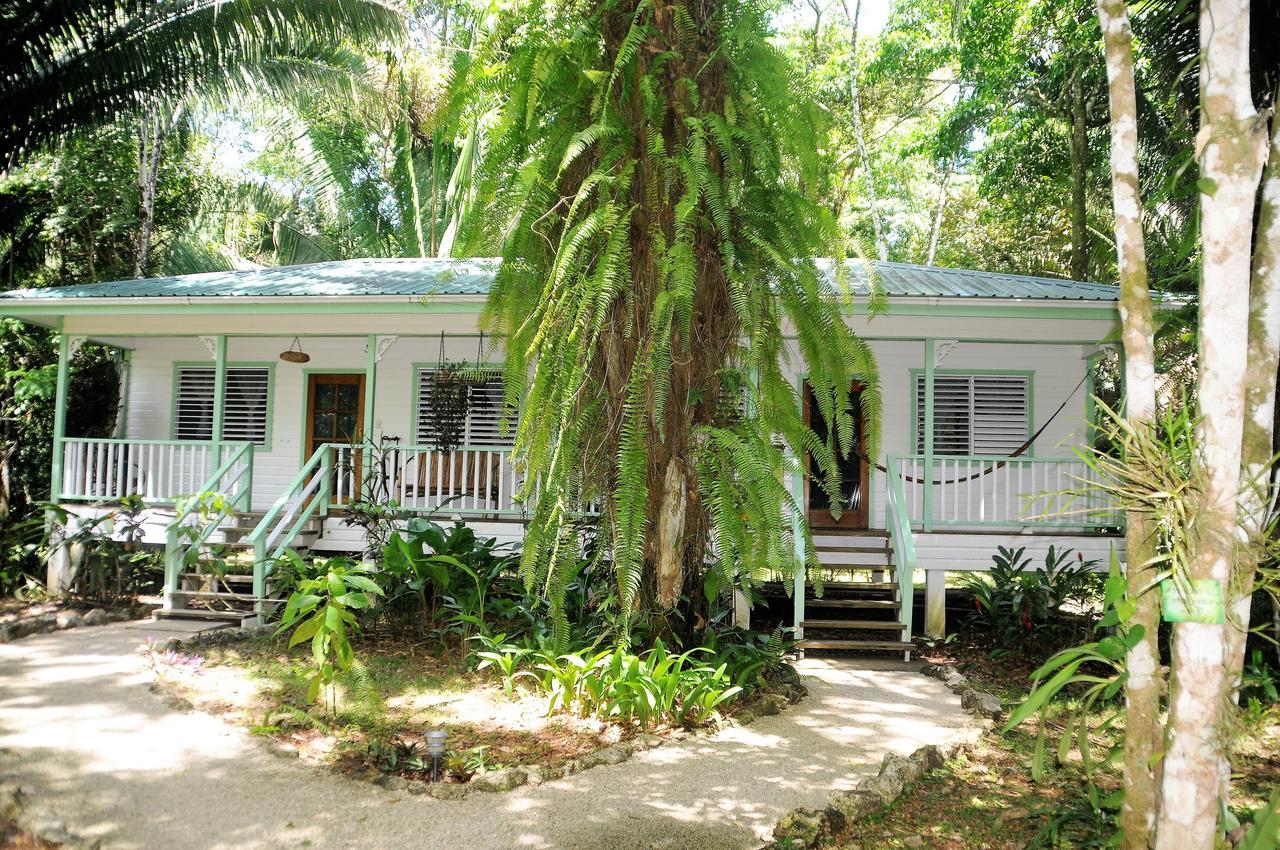 Hickatee Cottages, Belize, Central America ปุนตากอร์ดา ภายนอก รูปภาพ