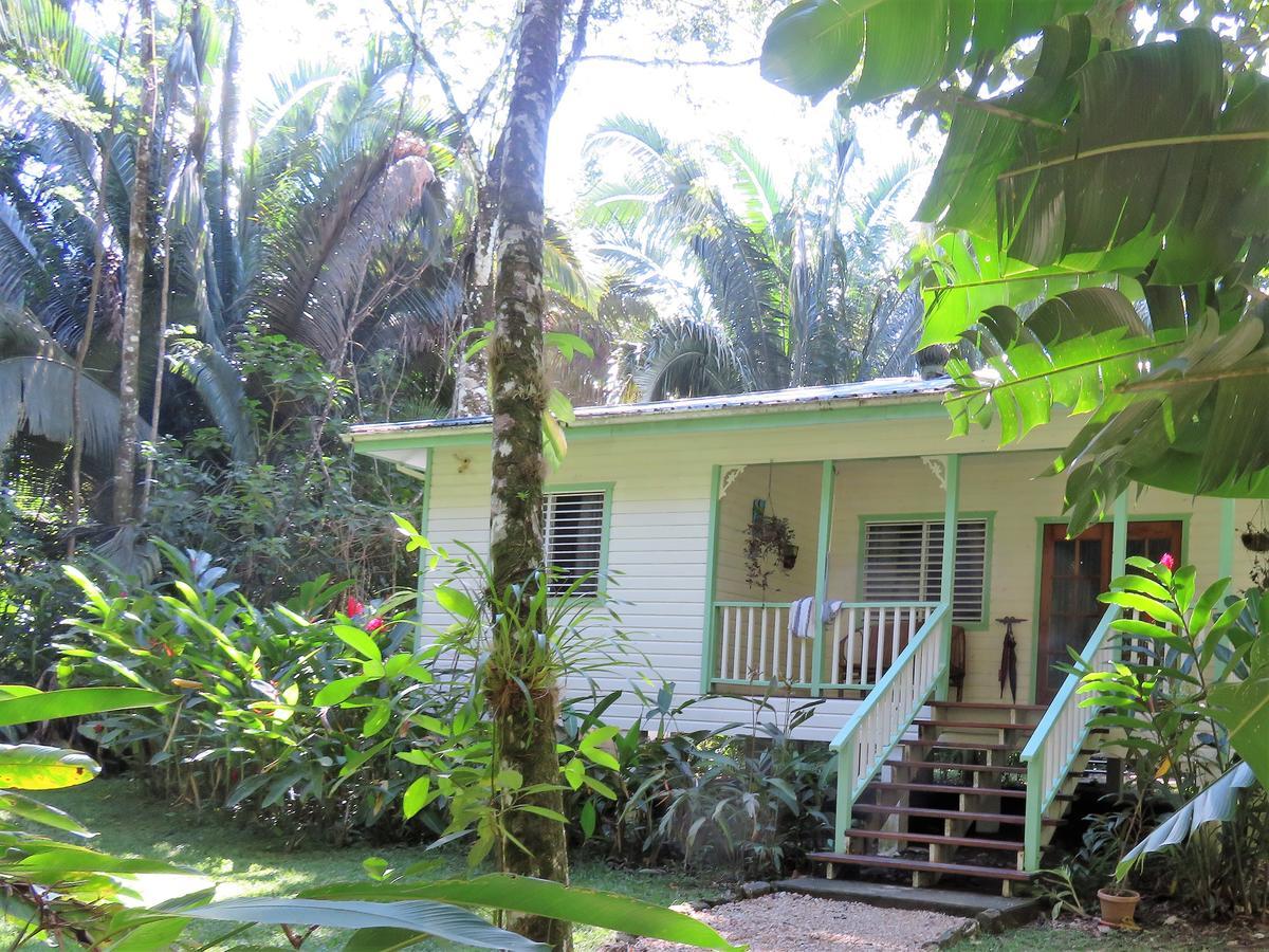 Hickatee Cottages, Belize, Central America ปุนตากอร์ดา ภายนอก รูปภาพ